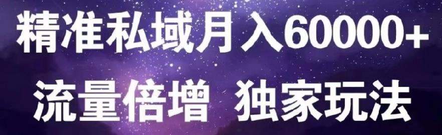 原力网赚精准私域月入60000+,流量倍增独家玩法