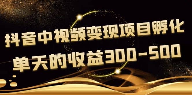 黄岛主《抖音中视频变现项目孵化》单天的收益300-500 操作简单粗暴