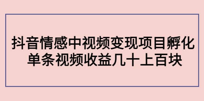 抖音情感中视频变现项目孵化