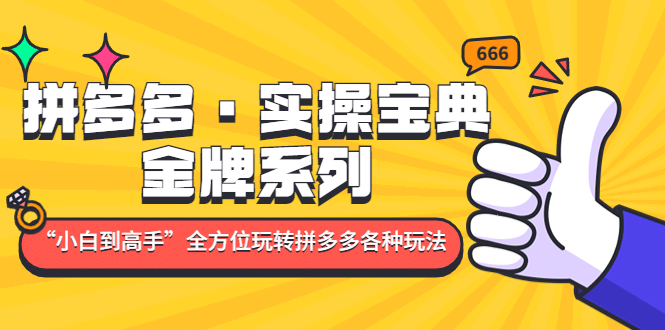 拼多多·实操宝典：金牌系列“小白到高手”带你全方位玩转拼多多各种玩法