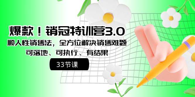 爆款！销冠特训营3.0之顺人性销售法，全方位解决销售难题、可落地、可执行、有结果