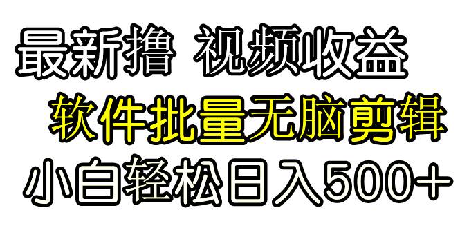 发视频撸收益，软件无脑批量剪辑，第一天发第二天就有钱