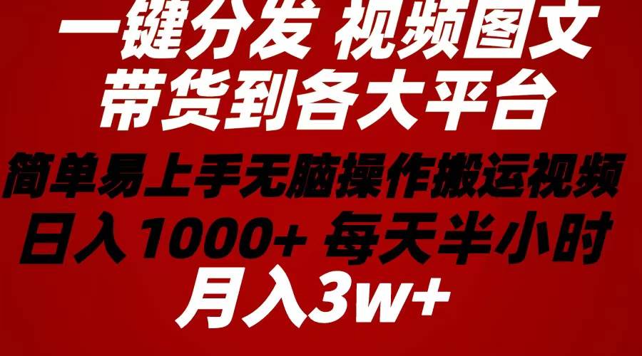 2024年 一键分发带货图文视频  简单易上手 无脑赚收益 每天半小时日入1...